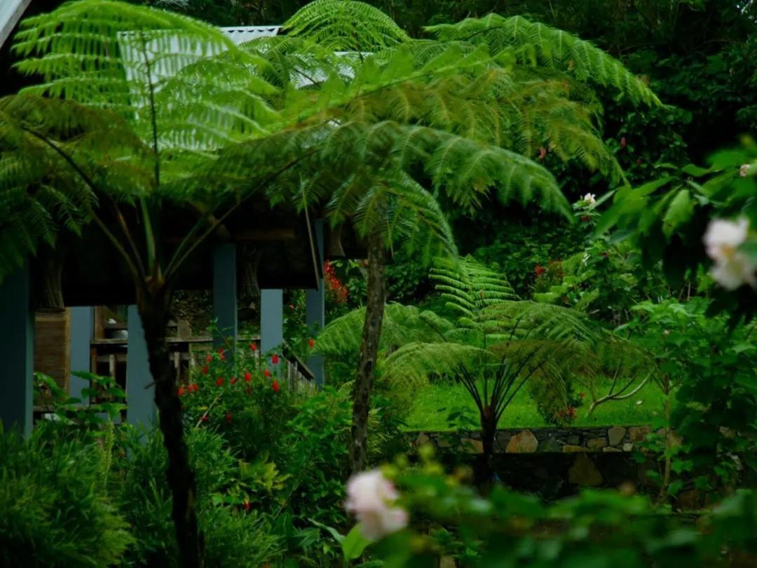 The Geckos Homestay เคลิมูตู ภายนอก รูปภาพ