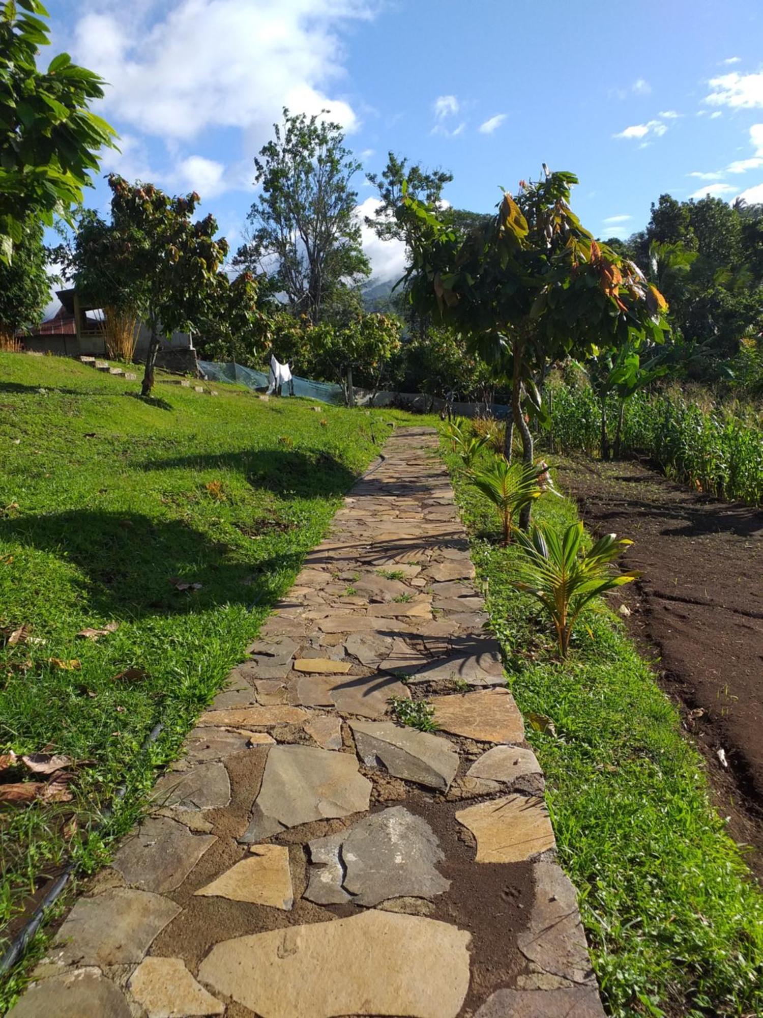 The Geckos Homestay เคลิมูตู ห้อง รูปภาพ