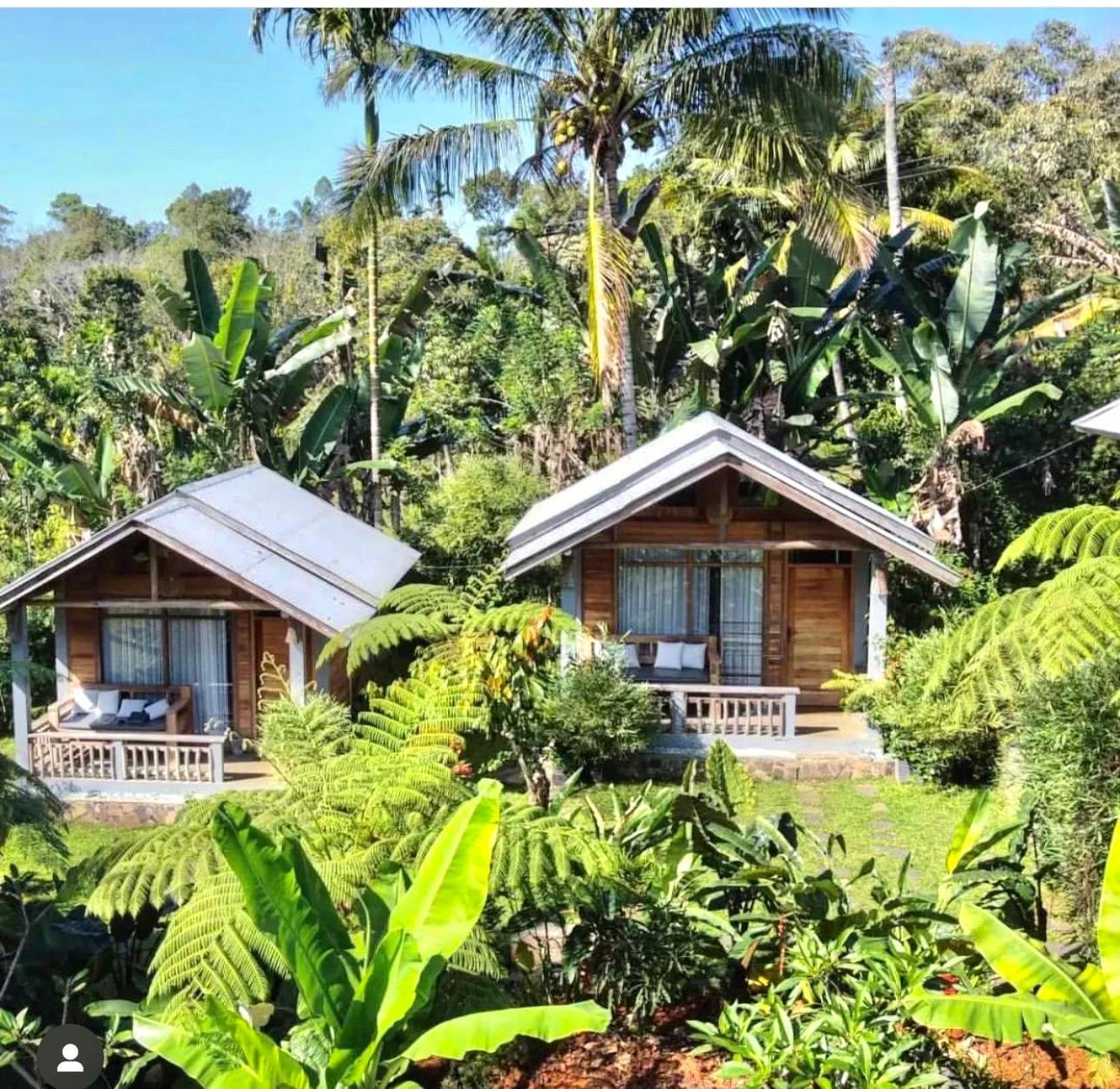 The Geckos Homestay เคลิมูตู ภายนอก รูปภาพ
